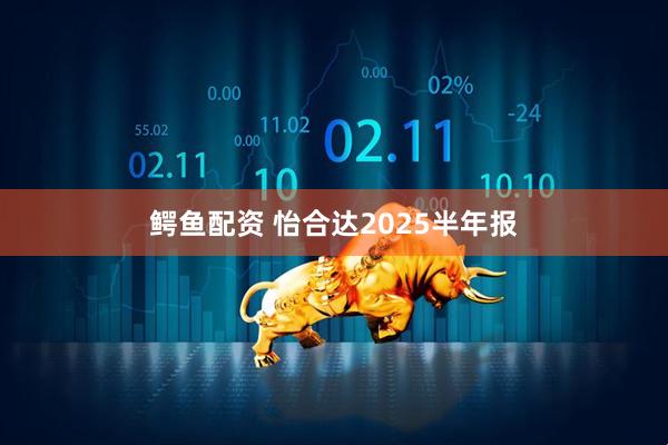 鳄鱼配资 怡合达2025半年报