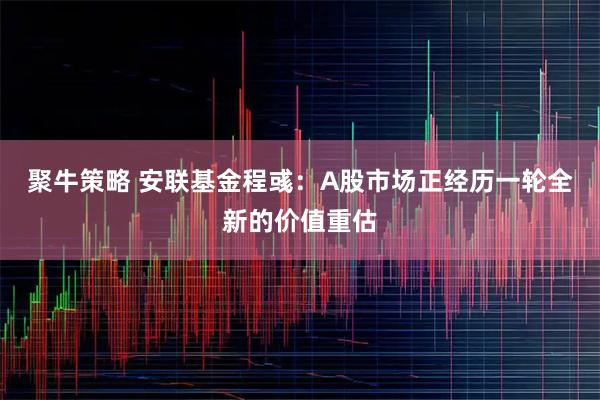 聚牛策略 安联基金程彧：A股市场正经历一轮全新的价值重估