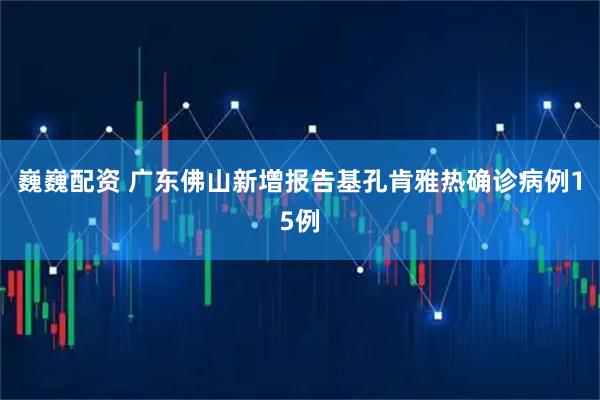 巍巍配资 广东佛山新增报告基孔肯雅热确诊病例15例