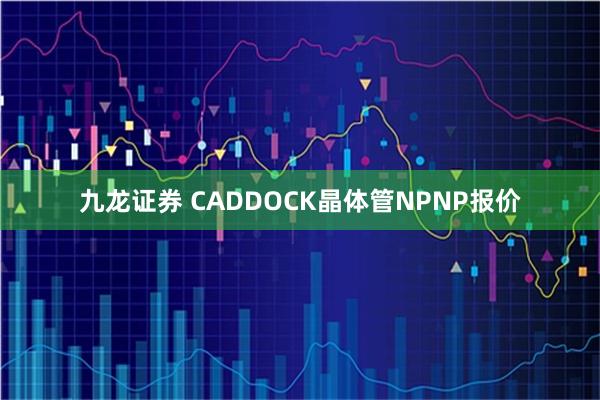 九龙证券 CADDOCK晶体管NPNP报价