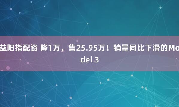 益阳指配资 降1万，售25.95万！销量同比下滑的Model 3