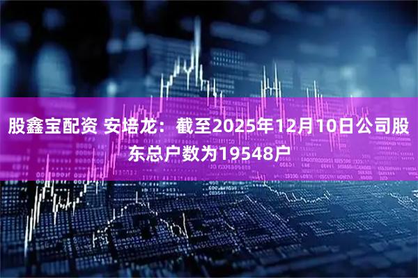 股鑫宝配资 安培龙：截至2025年12月10日公司股东总户数为19548户